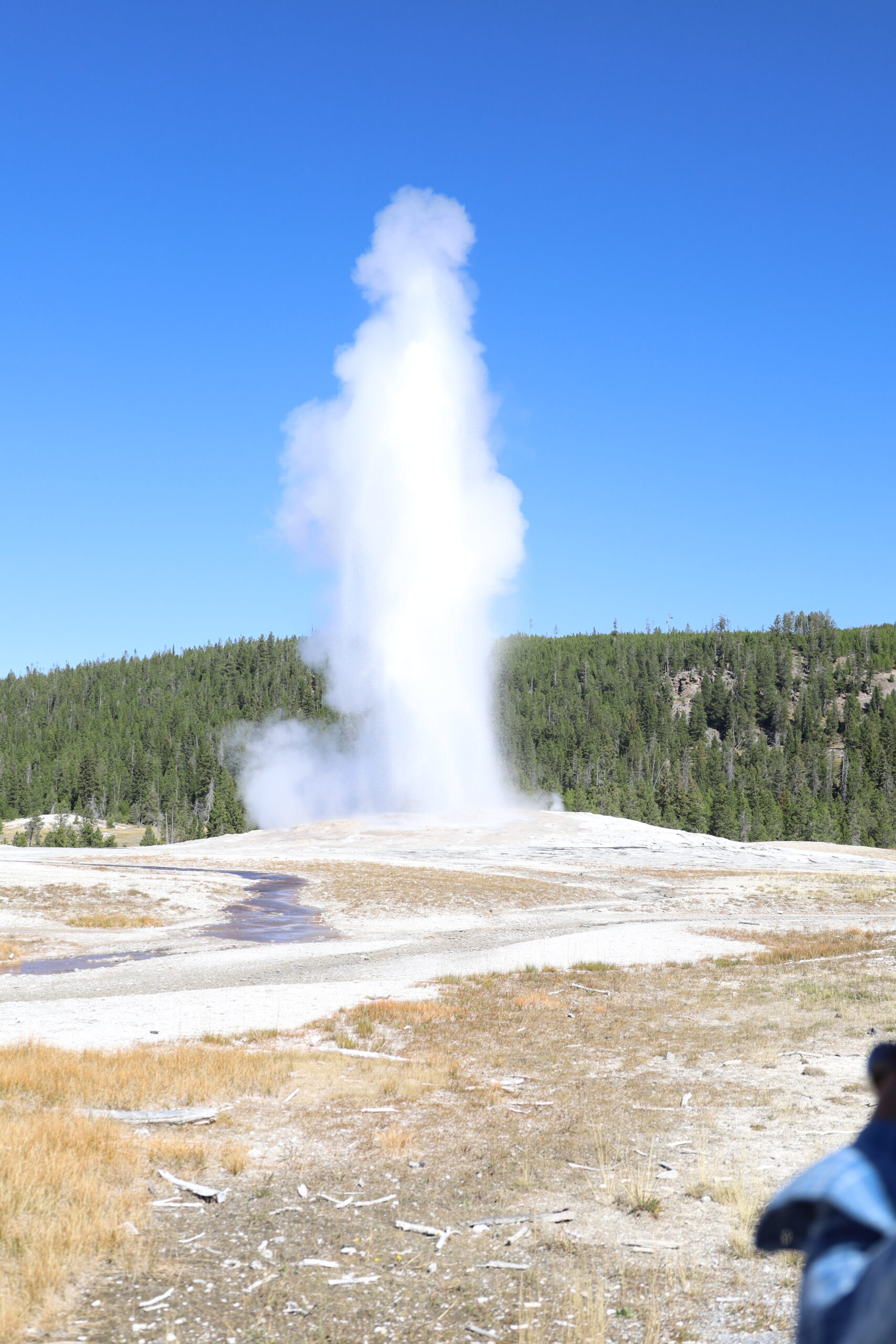 Yellowstone in September: A Scenic Tour in the Fall