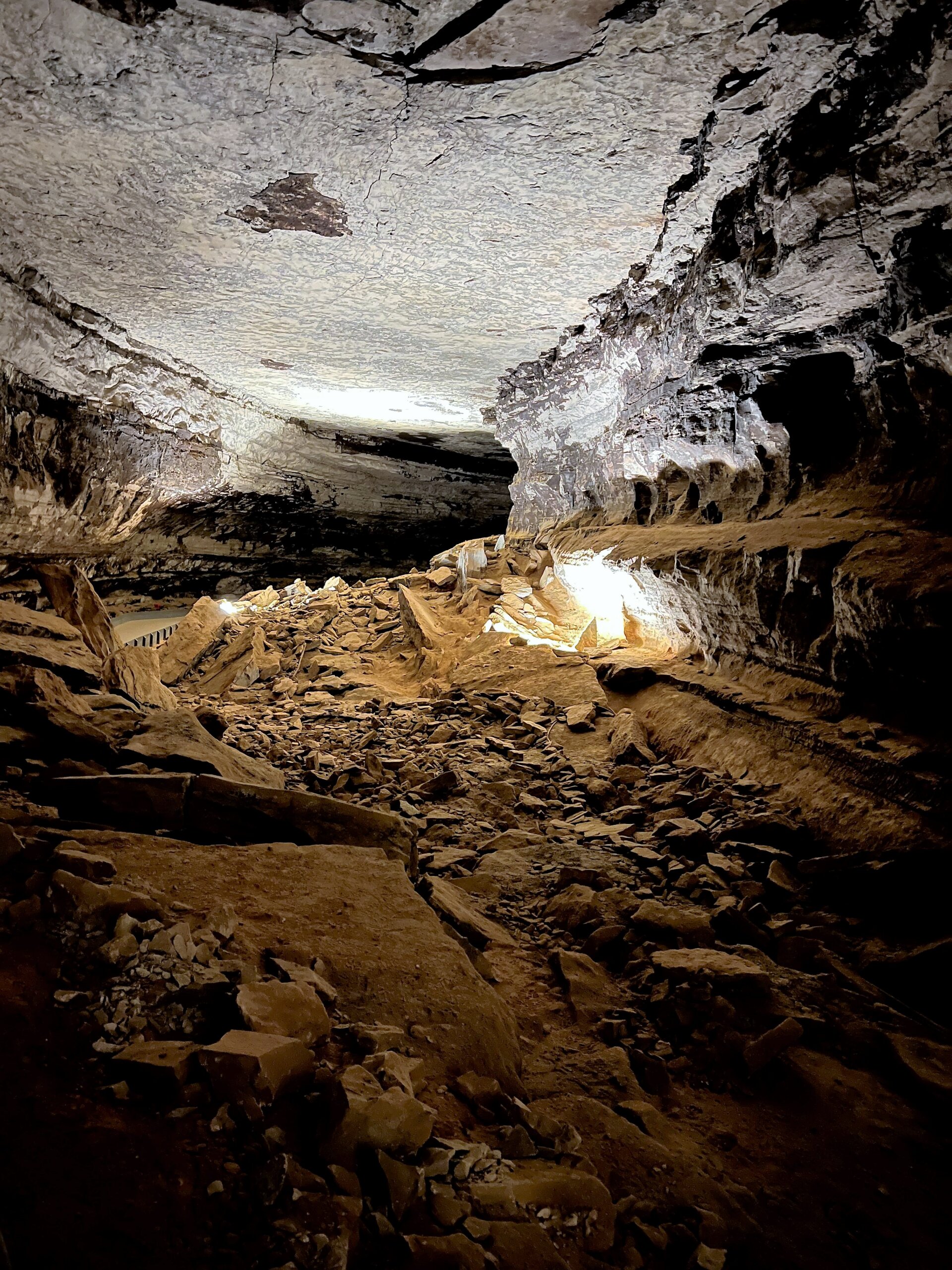 Pathway in Mammoth Cave National Park